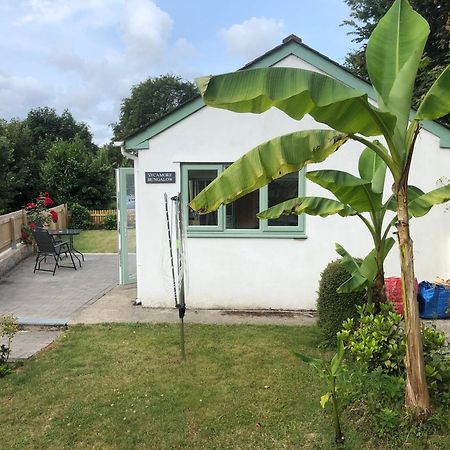 Sycamore Bungalow Perranwell Exterior photo